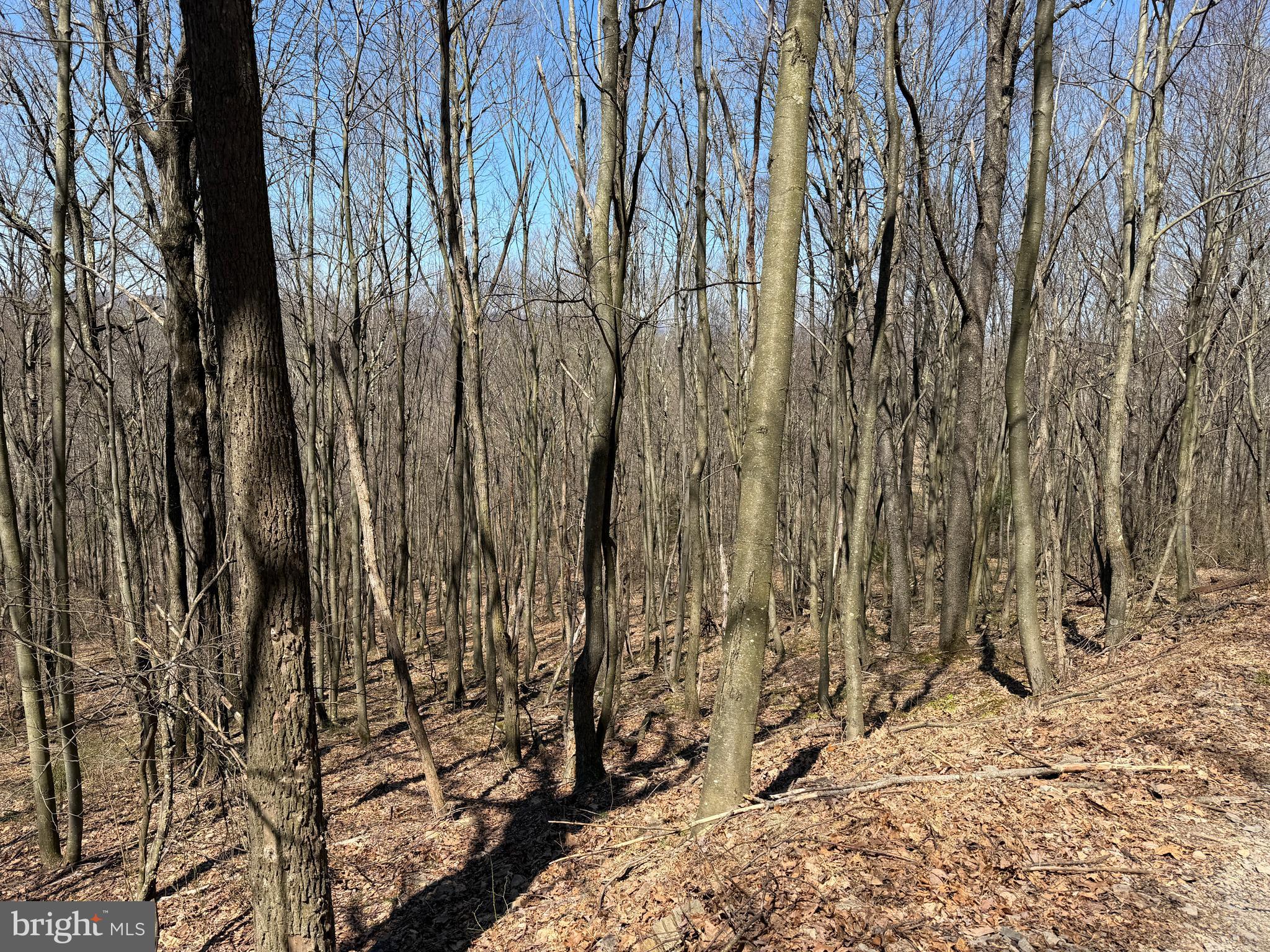 2 40 /- Acres Off Of Tooland Road Fairhope, PA 15538 - Photo 49 of 49