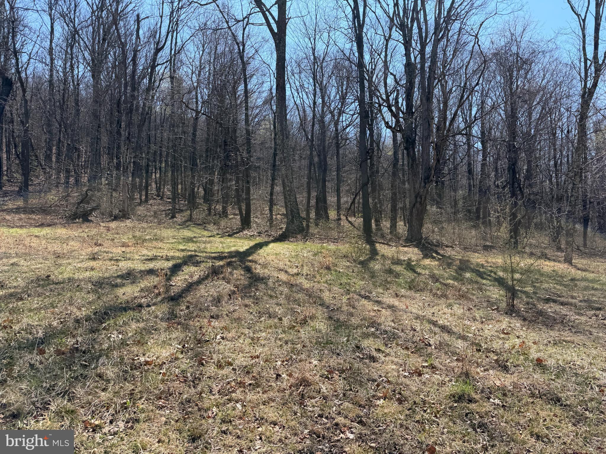 2 40 /- Acres Off Of Tooland Road Fairhope, PA 15538 - Photo 10 of 49
