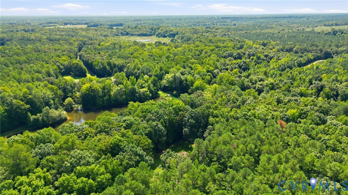 14720 Spring Creek Road Dinwiddie, VA 23841 - Photo 6 of 32 Expansive wooded acreage featuring mature trees an