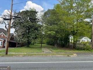 0 Spring Street Warm Springs, GA 31830 - Photo 6 of 10