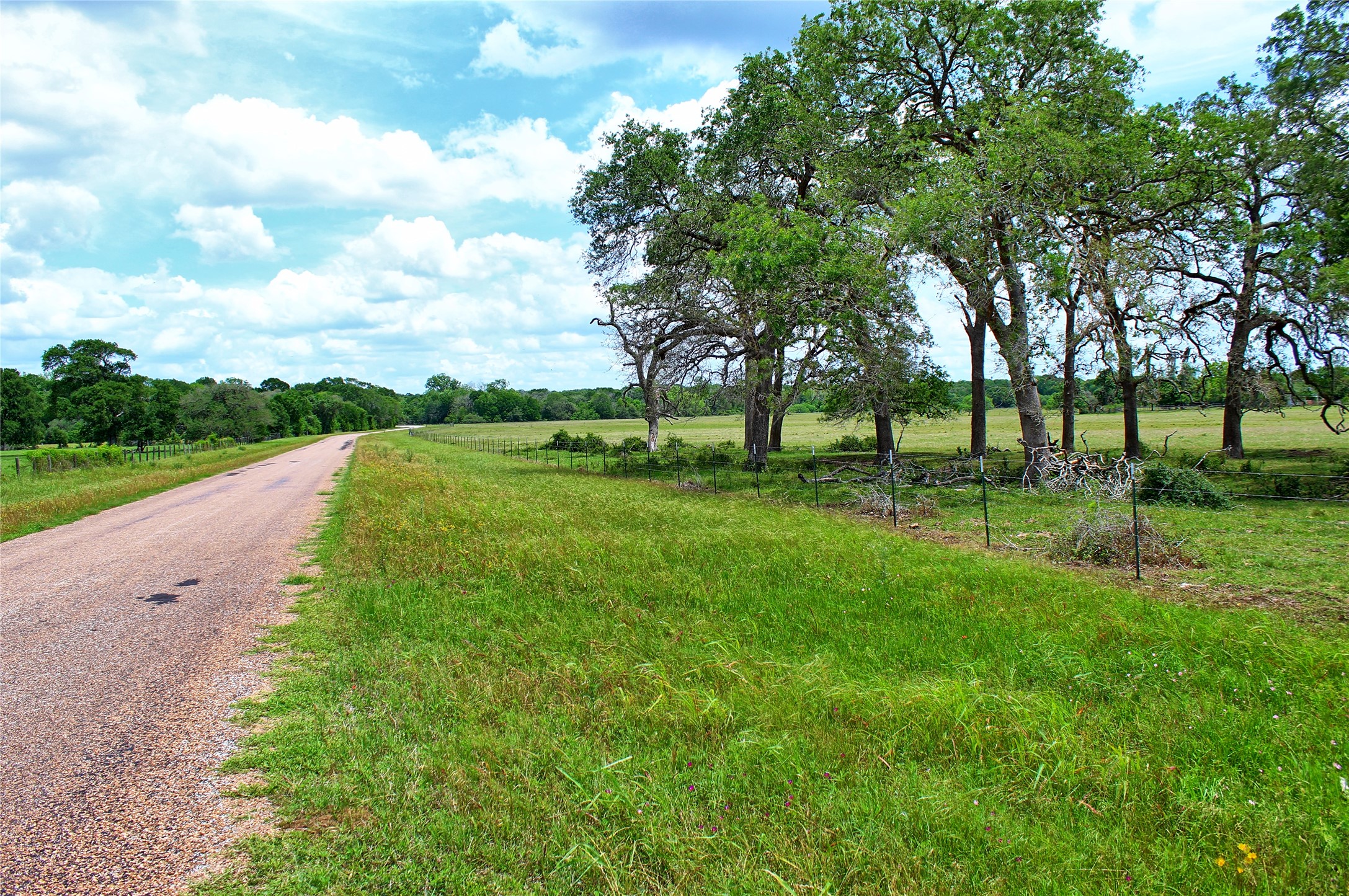 Tbd Harmony Road Weimar, TX 78962 - Photo 7 of 28
