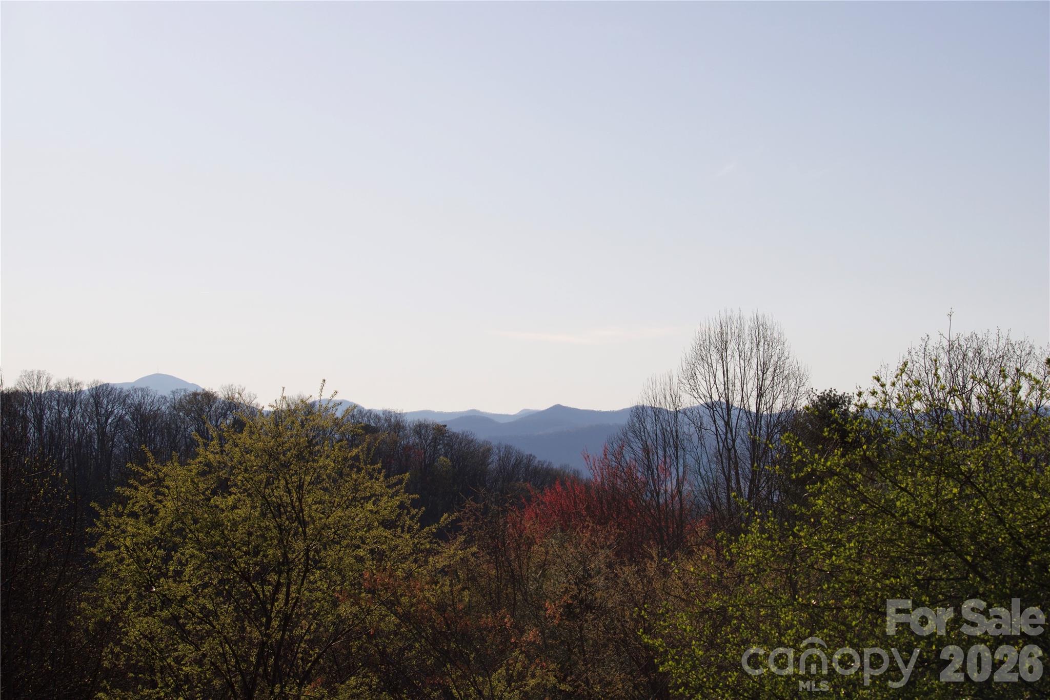 751 Hutch Mountain Road Fletcher, NC 28732 - Photo 46 of 48 a view of a house and a mountain view