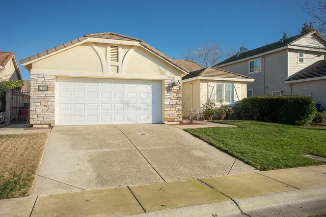 a living room with furniture a rug potted plant and a window