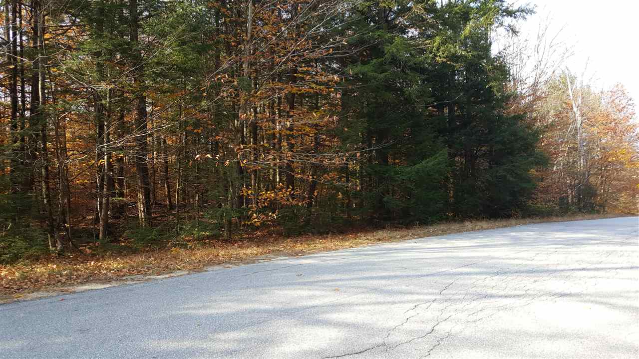 Lot 4 Alpine Road Bristol, NH 03222 - Photo 3 of 3 Gallery Image 3