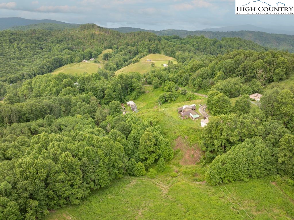 244 Flat Springs Road Elk Park, NC 28622 - Photo 5 of 47