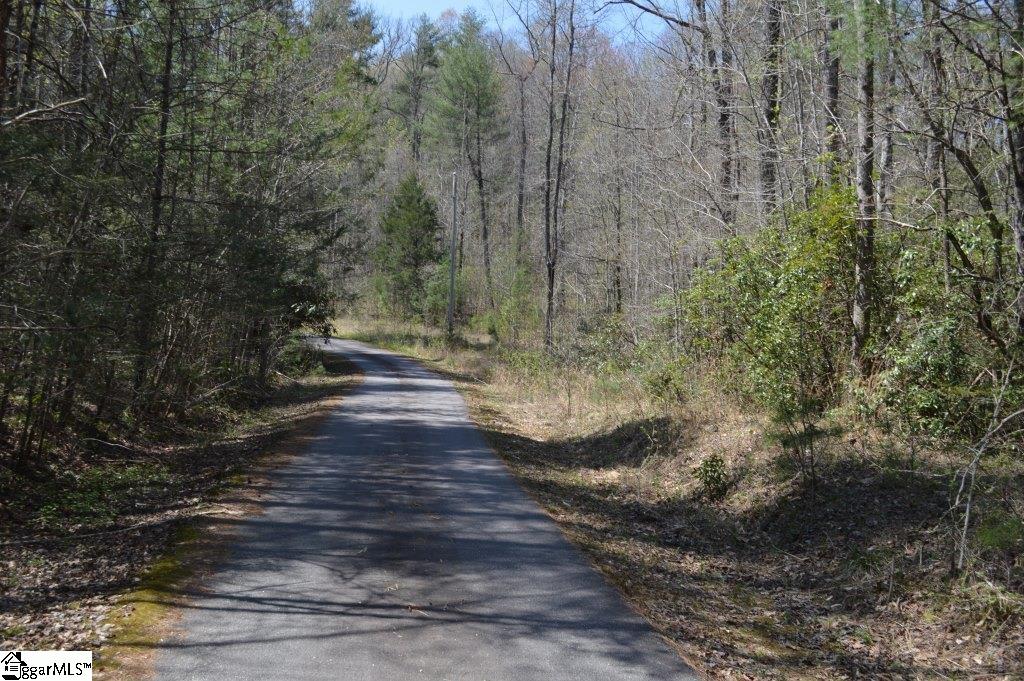 Rocky Road Cleveland, SC 29635 - Photo 13 of 20