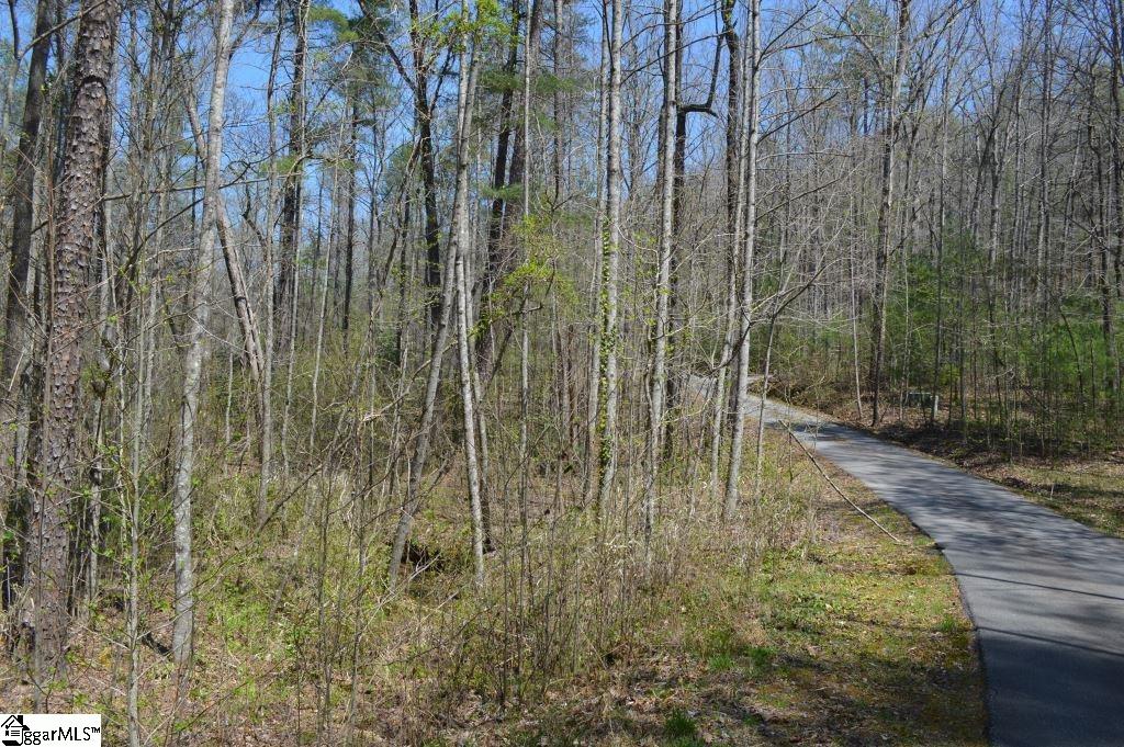 Rocky Road Cleveland, SC 29635 - Photo 14 of 20