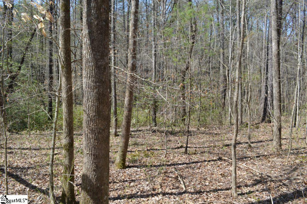 Rocky Road Cleveland, SC 29635 - Photo 3 of 20