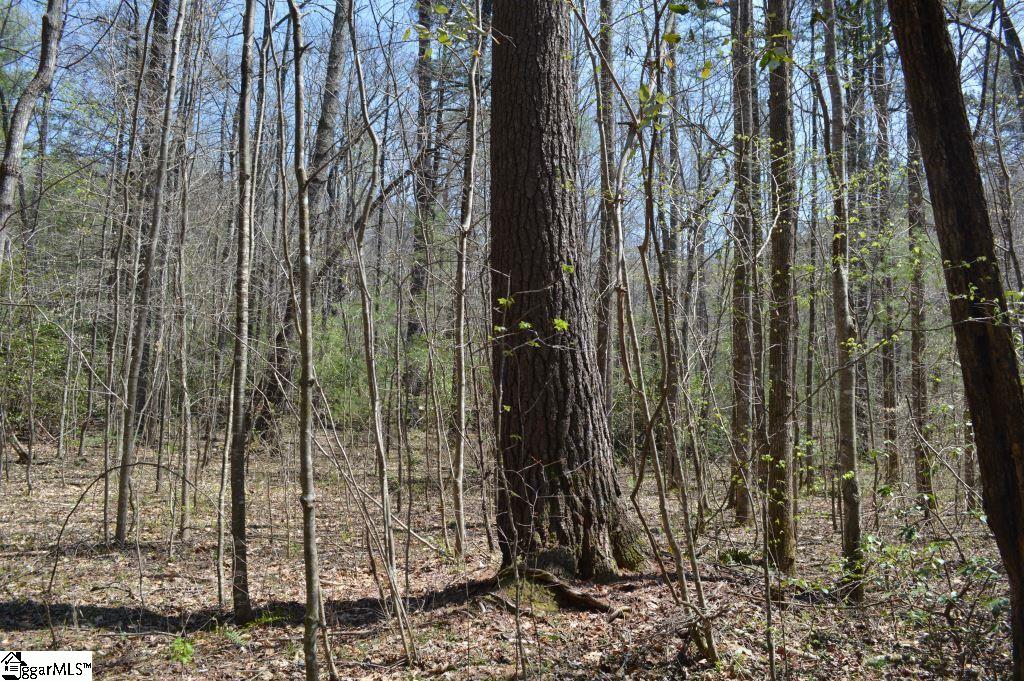 Rocky Road Cleveland, SC 29635 - Photo 5 of 20