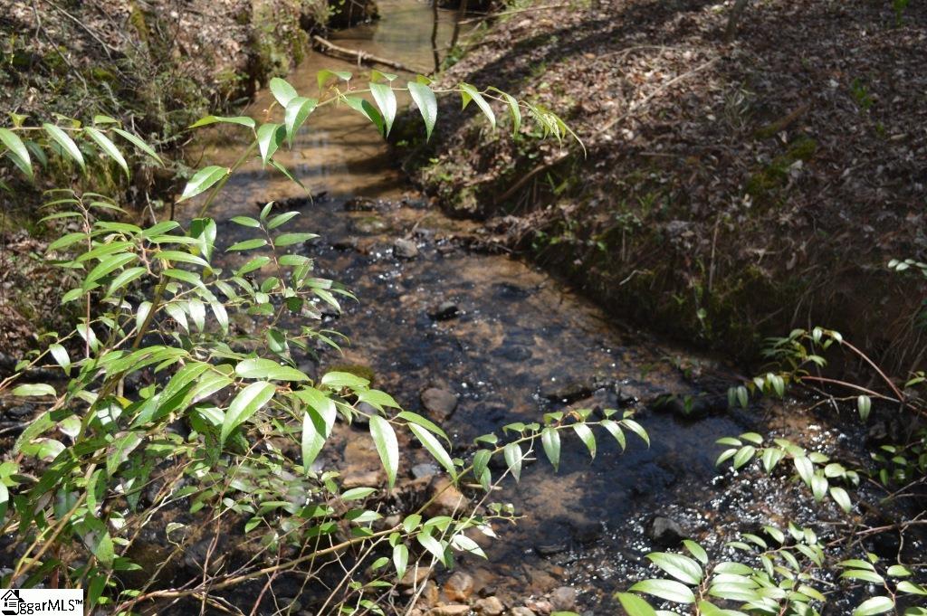 Rocky Road Cleveland, SC 29635 - Photo 6 of 20