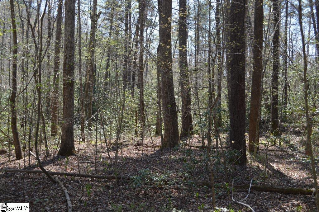 Rocky Road Cleveland, SC 29635 - Photo 10 of 20