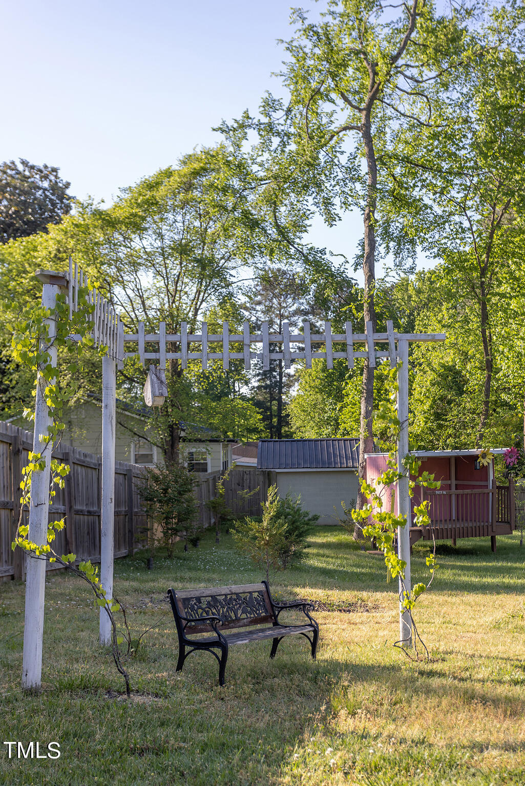 907 Cook Road Durham, NC 27713 - Photo 28 of 37 Backyard Grape Vines