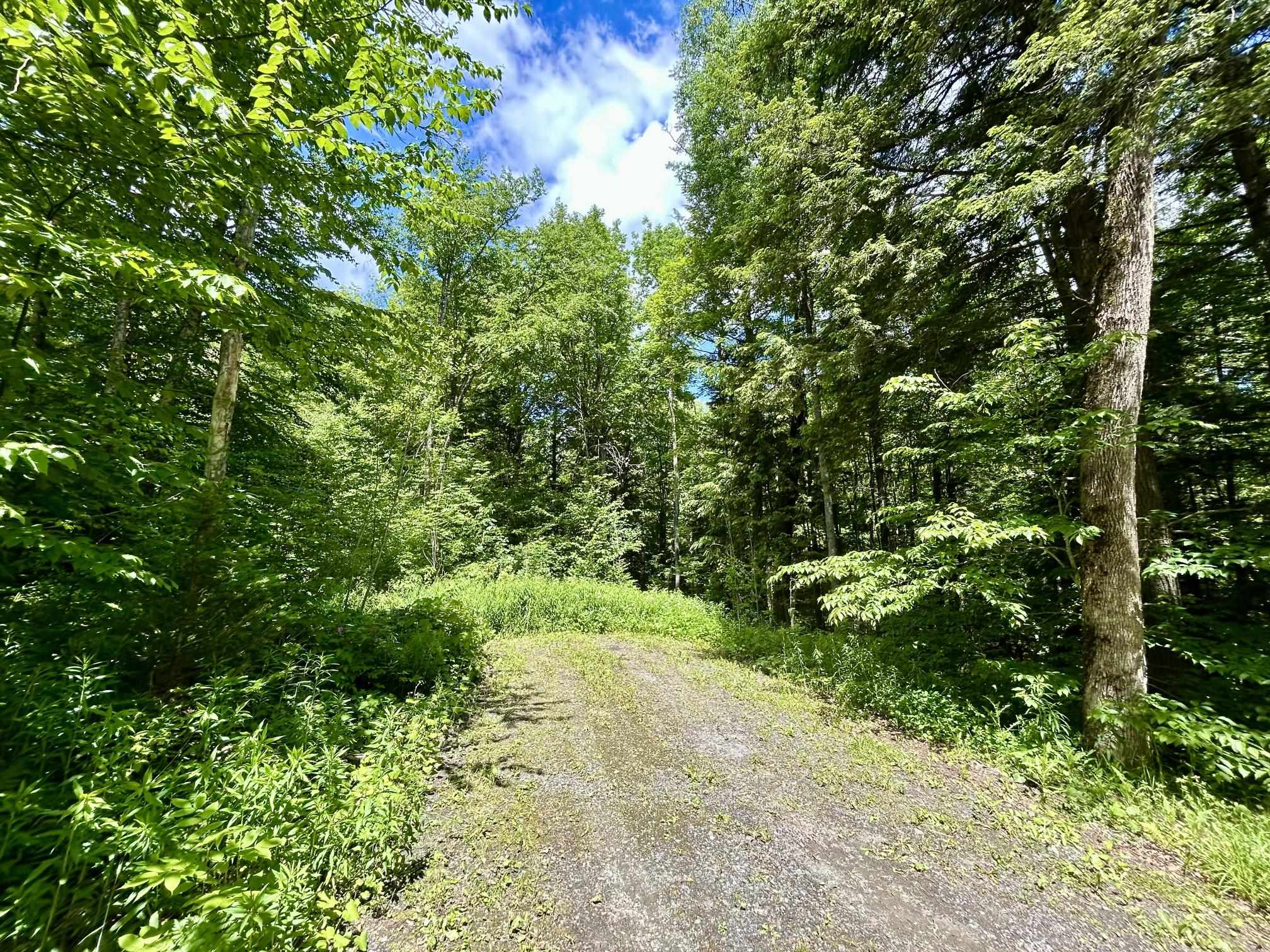 8 Mary White Road Tunbridge, VT 05038 - Photo 35 of 41