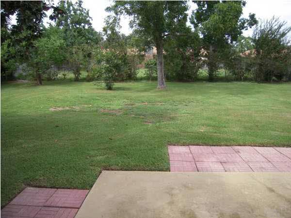 3011 Ranchette Square Gulf Breeze, FL 32563 - Photo 3 of 12 Back Yard & Patio
