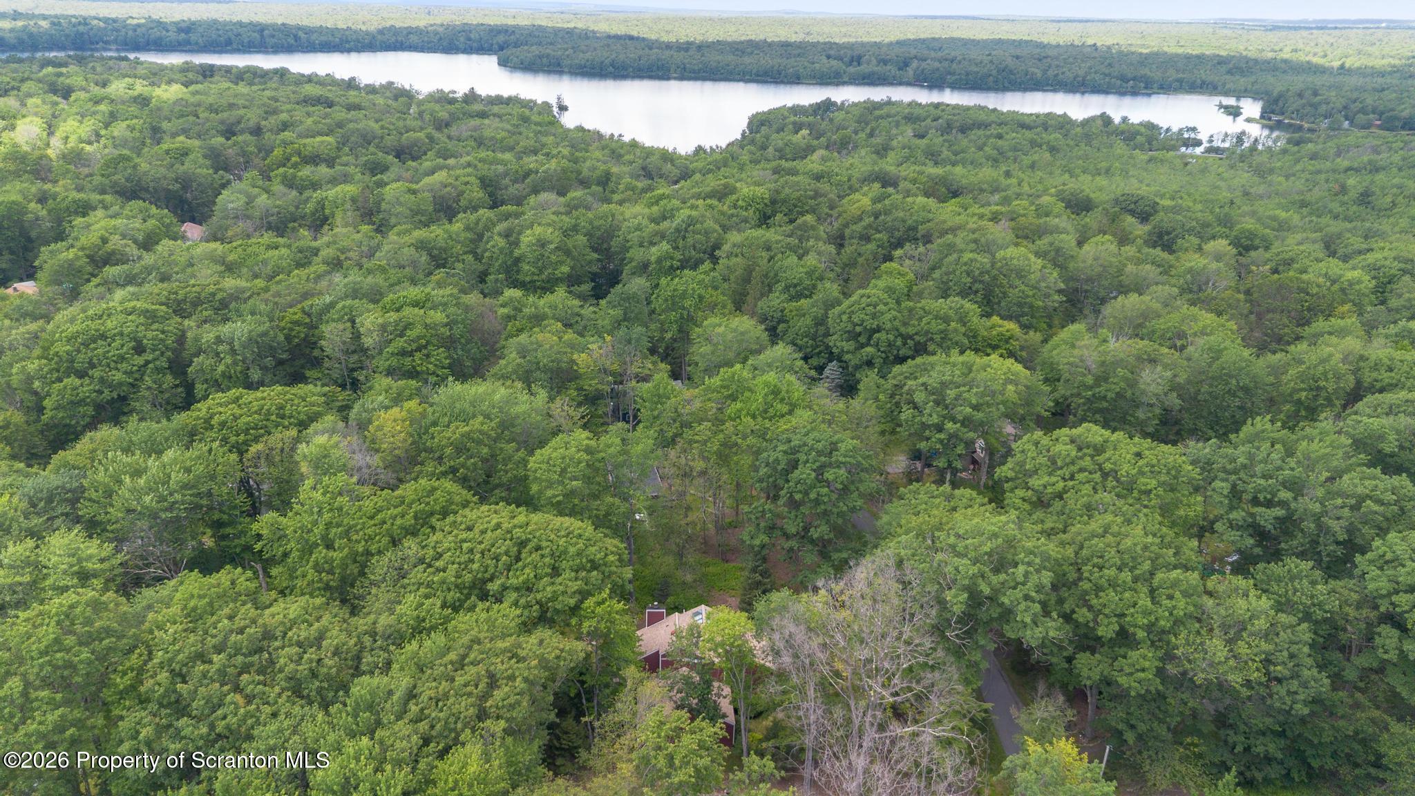3217 Beech Ridge Drive Pocono Summit, PA 18346 - Photo 9 of 59 DJI_0896-2