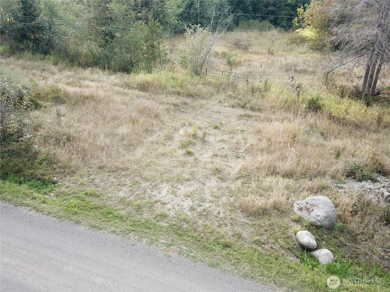 a view of a dry yard with green space