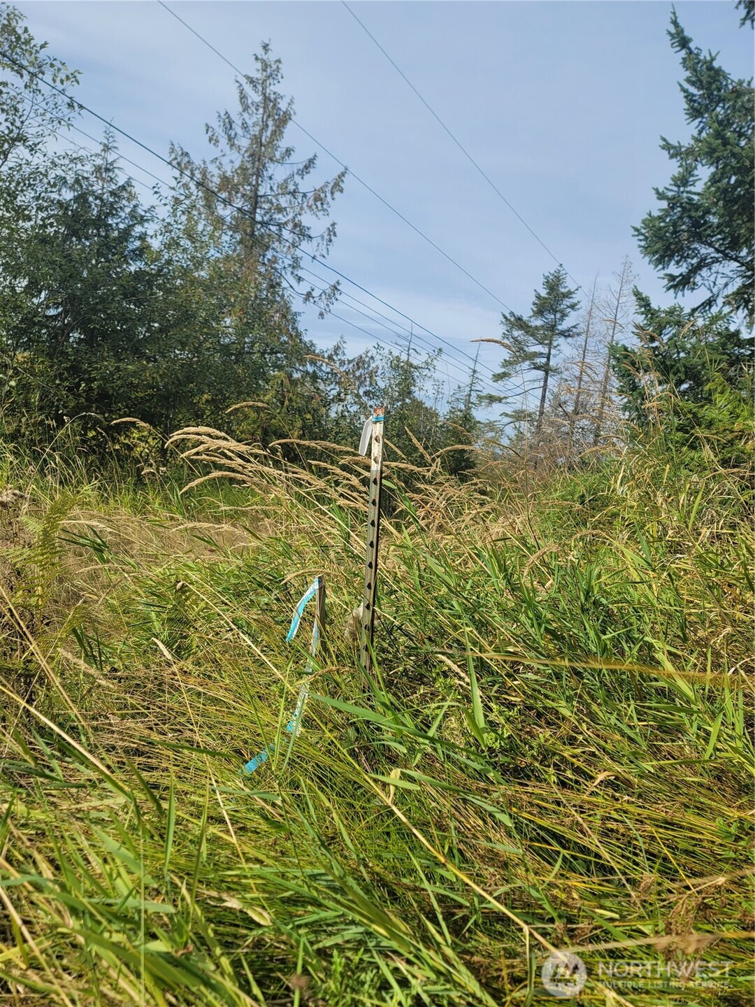 0 Fern Road Port Angeles, WA 98362 - Photo 12 of 12 a view of a lake view