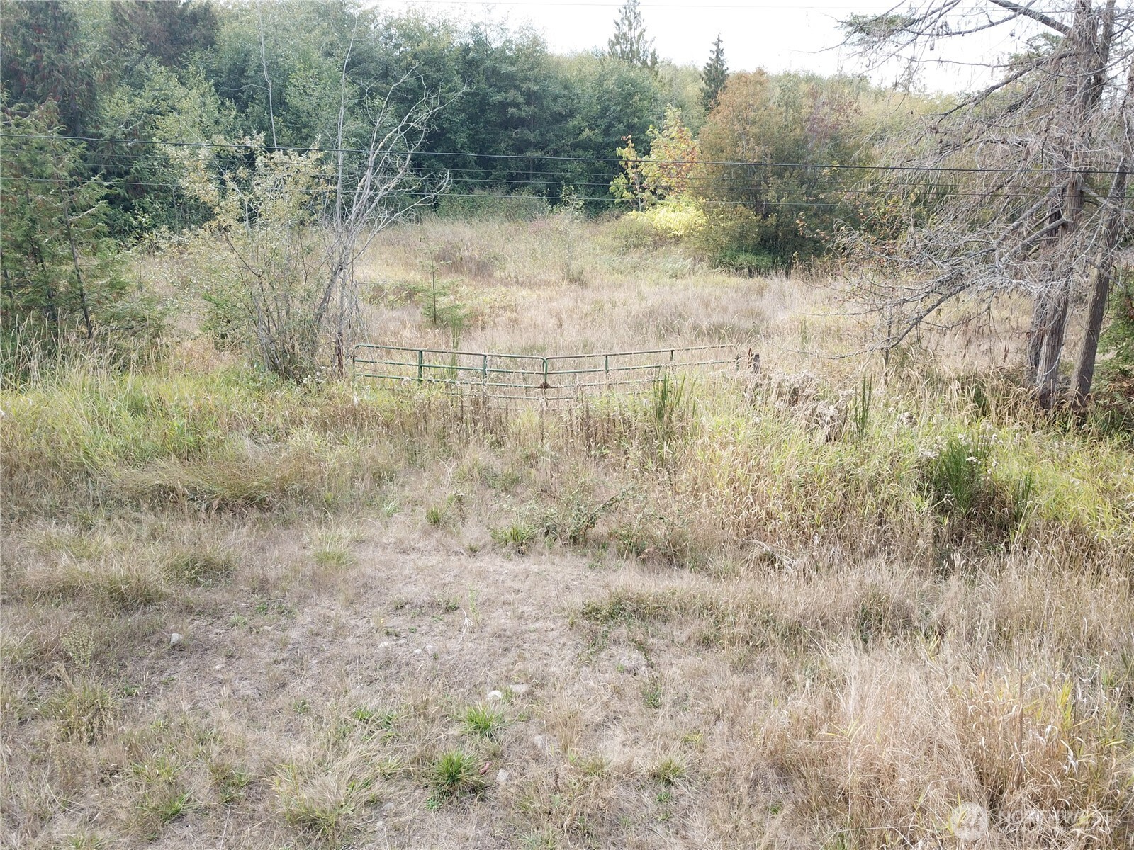 0 Fern Road Port Angeles, WA 98362 - Photo 4 of 12 a view of a forest with trees in the background