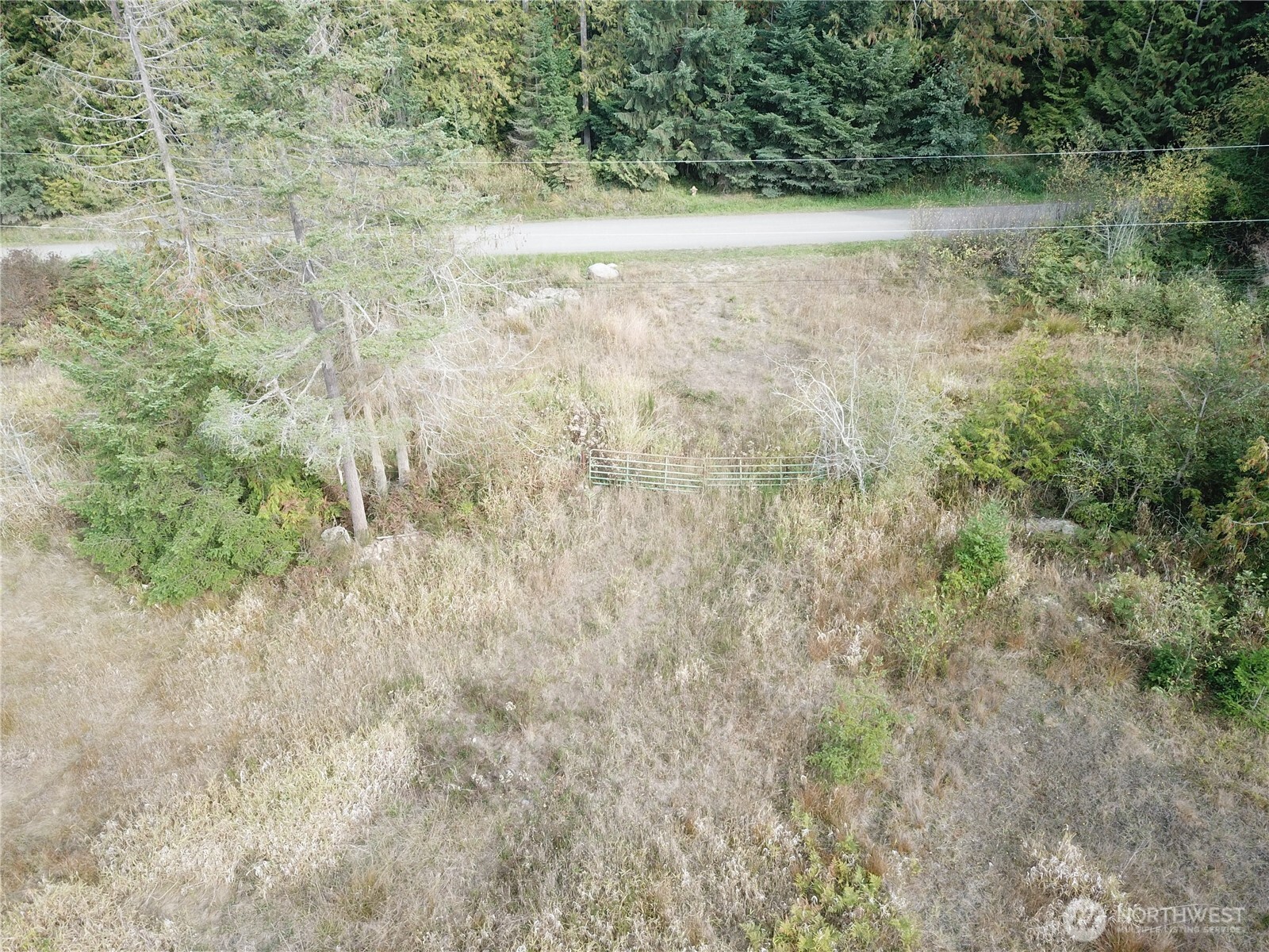 0 Fern Road Port Angeles, WA 98362 - Photo 5 of 12 a view of yard with green space