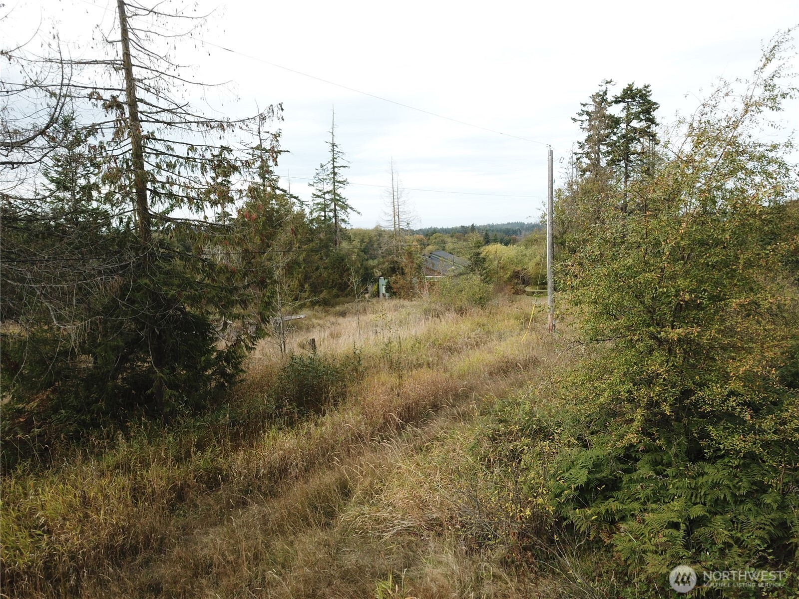 0 Fern Road Port Angeles, WA 98362 - Photo 7 of 12 a view of a forest with a yard