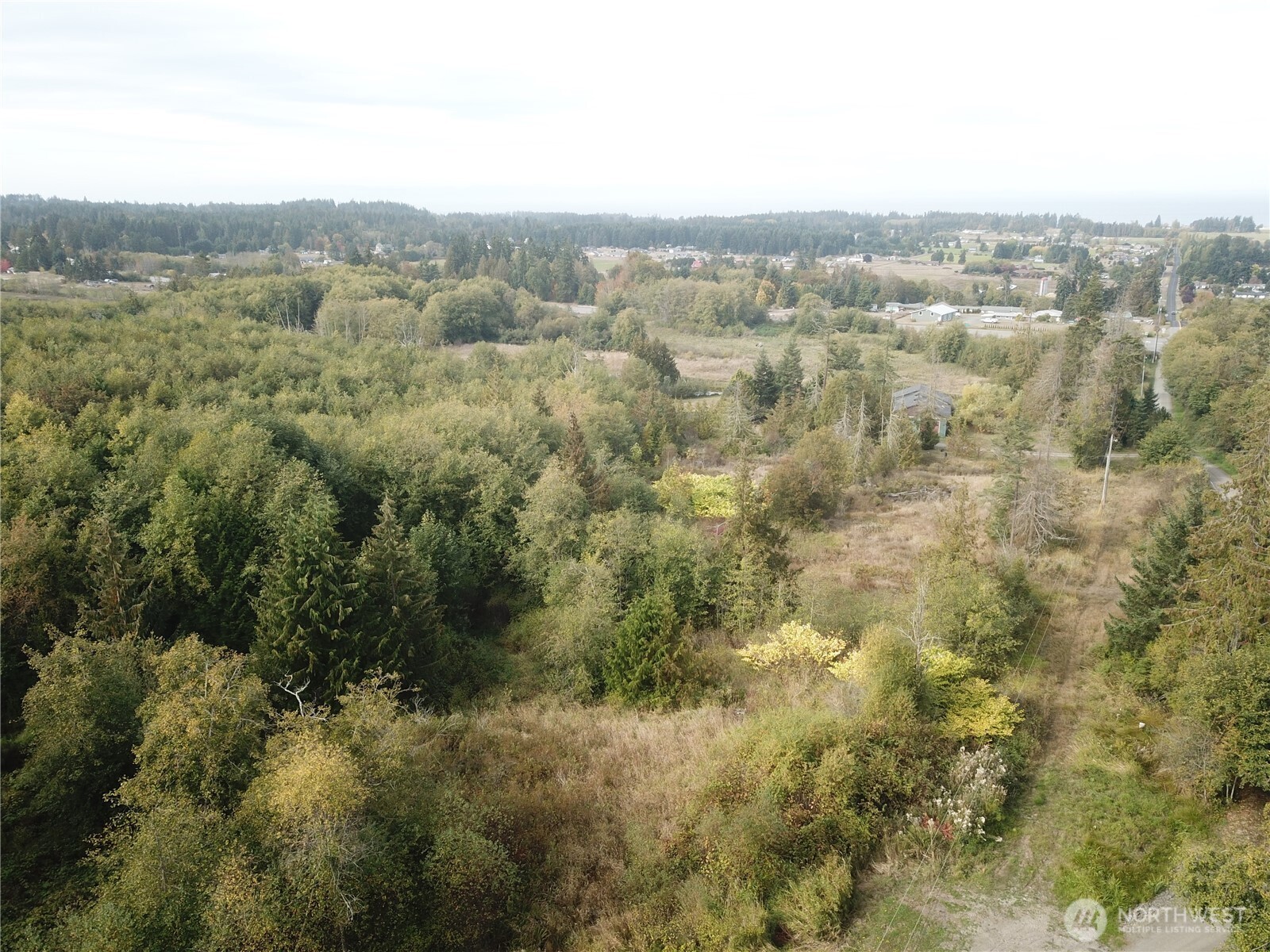 0 Fern Road Port Angeles, WA 98362 - Photo 8 of 12 a view of a city with lush green forest