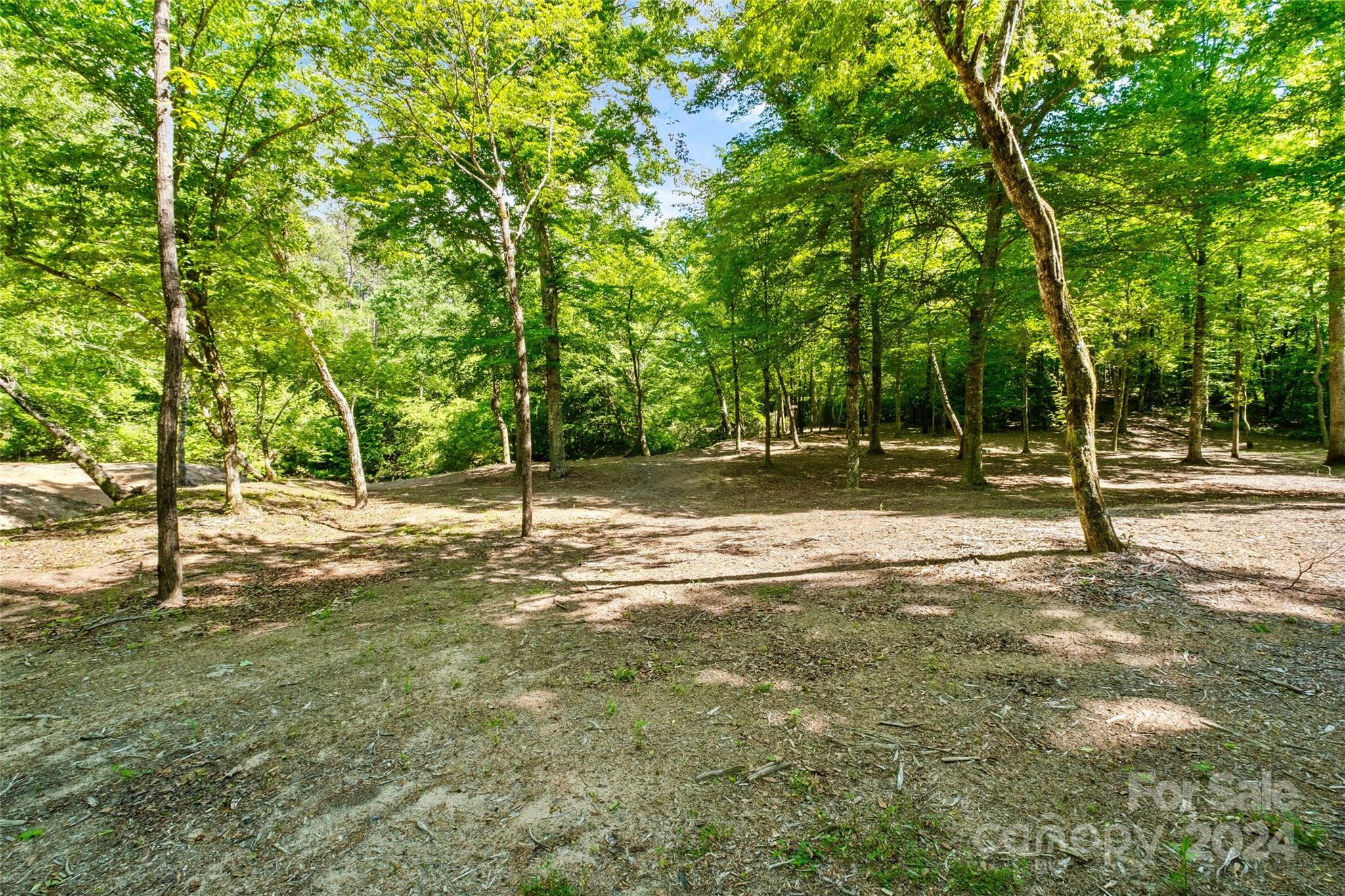246 Rupard Road Statesville, NC 28625 - Photo 21 of 44 a view of a yard with a tree
