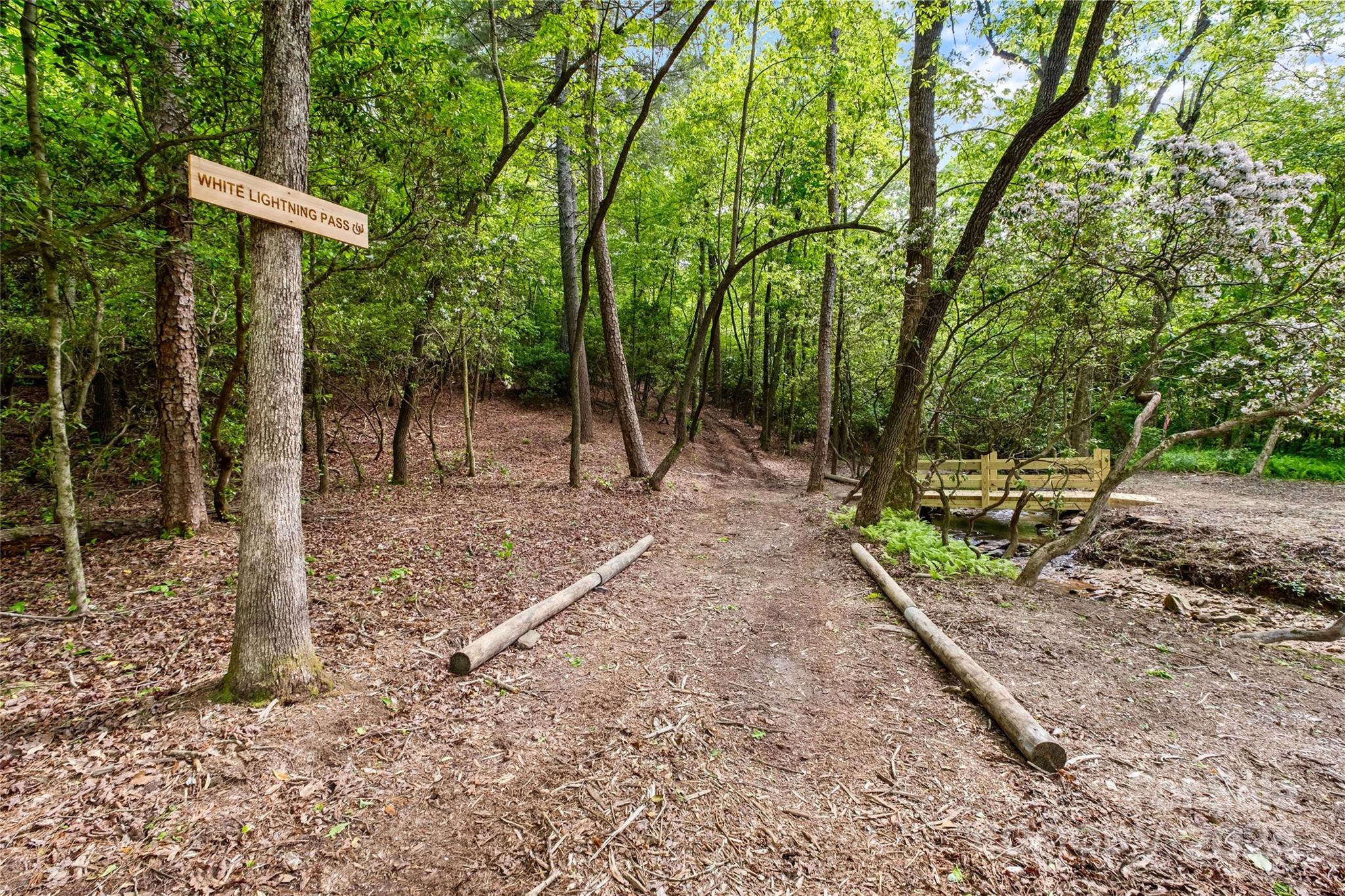 246 Rupard Road Statesville, NC 28625 - Photo 25 of 44 a view of outdoor space and yard