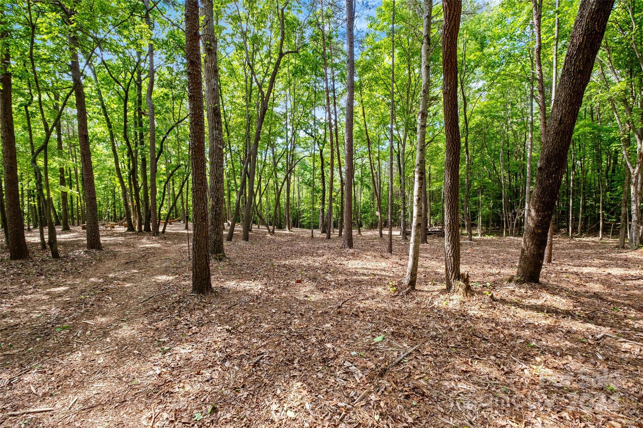 246 Rupard Road Statesville, NC 28625 - Photo 28 of 44 a backyard of a house with lots of trees