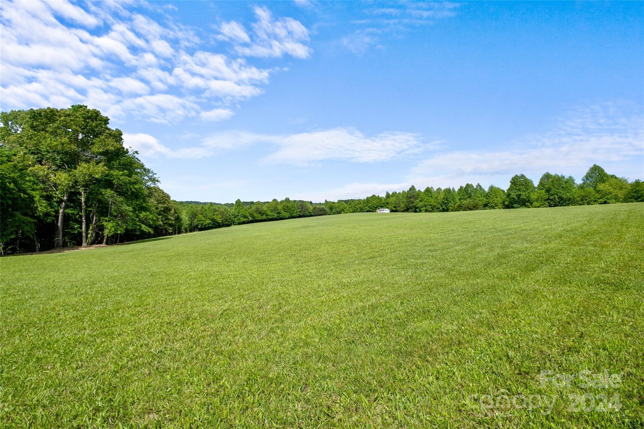 246 Rupard Road Statesville, NC 28625 - Photo 35 of 44 a view of a field with an ocean