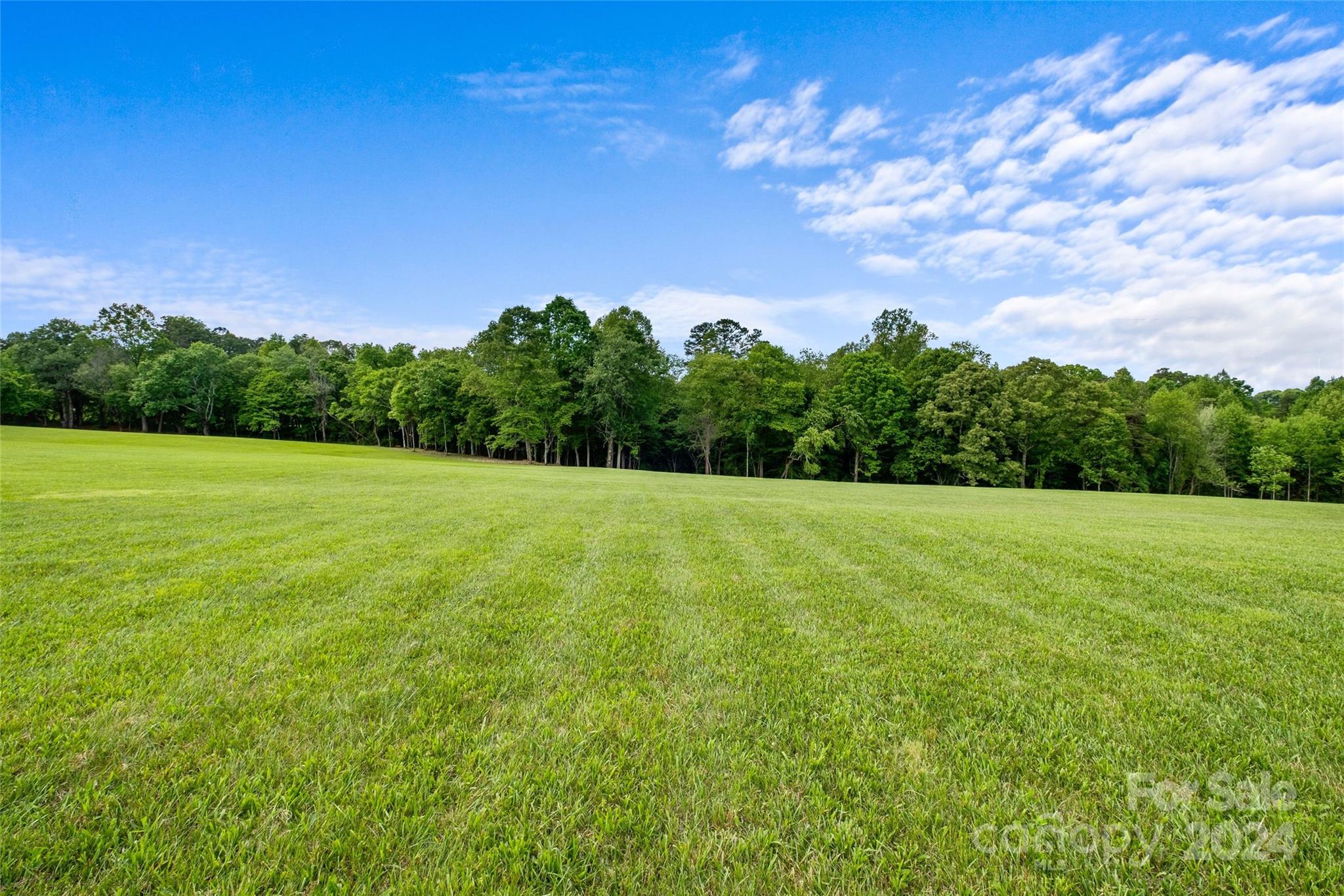 246 Rupard Road Statesville, NC 28625 - Photo 36 of 44 a view of a green field with wooden fence