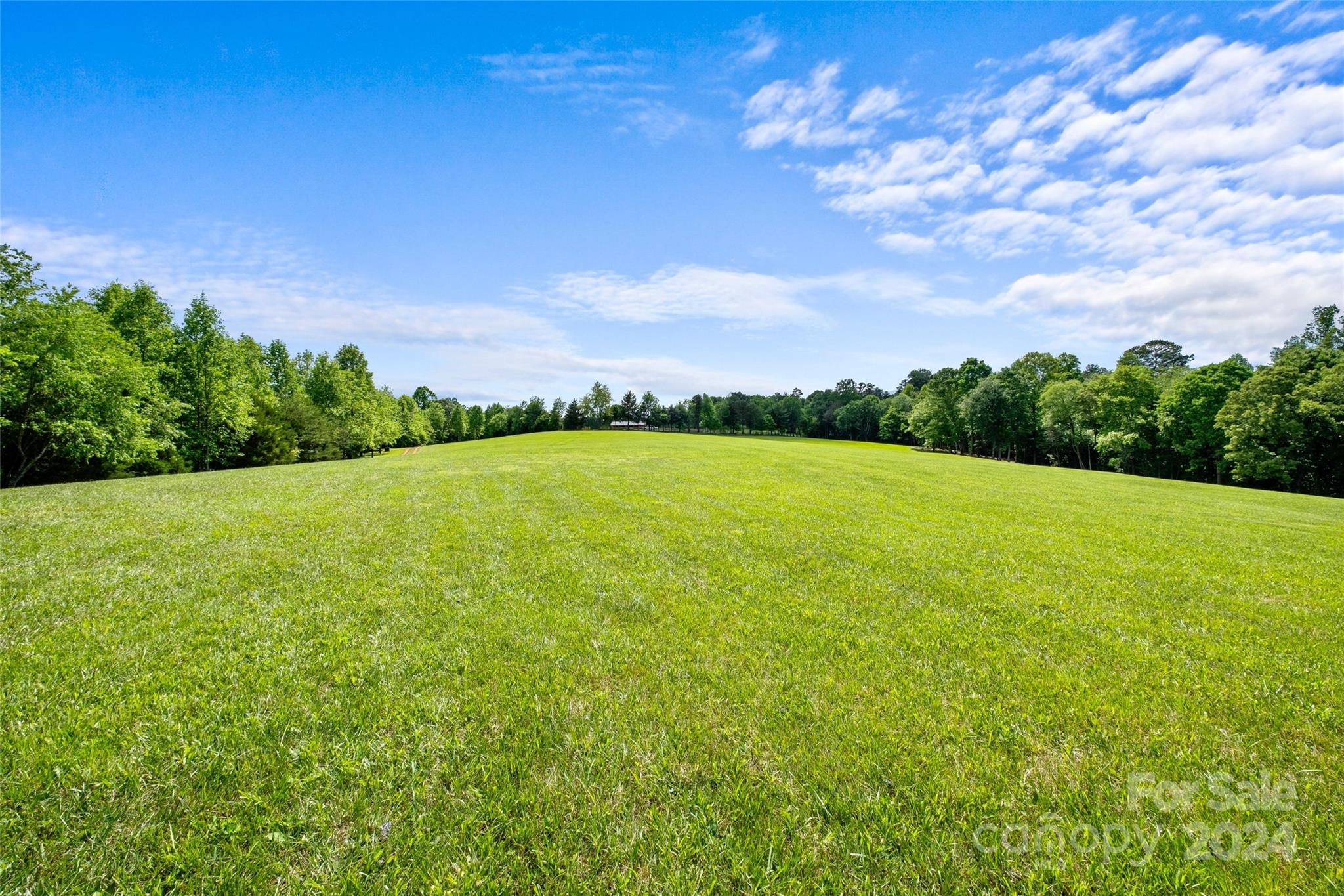 246 Rupard Road Statesville, NC 28625 - Photo 38 of 44 a view of a lake and a yard