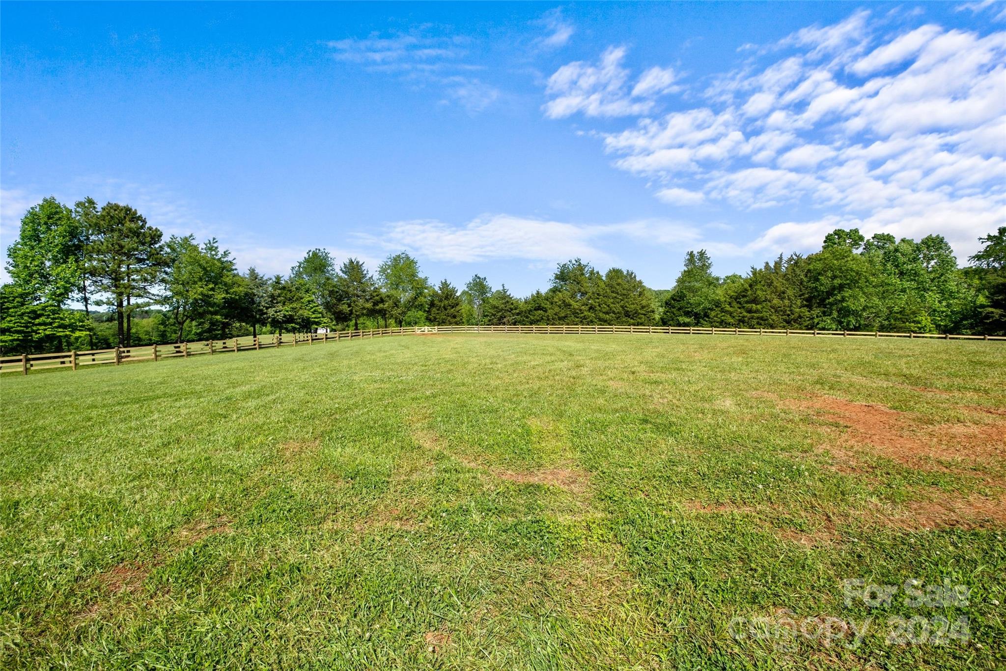 246 Rupard Road Statesville, NC 28625 - Photo 40 of 44 a view of a green field with an trees in the background