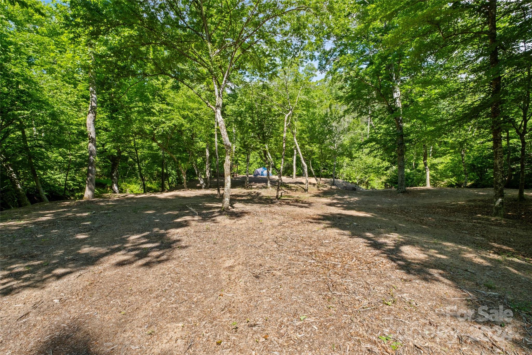 246 Rupard Road Statesville, NC 28625 - Photo 42 of 44 a view of backyard with tree