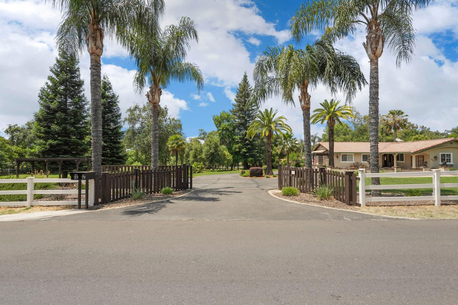 5407 Butler Road Penryn, CA 95663 - Photo 57 of 69 a view of a street with palm trees