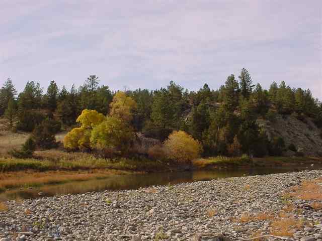 Lot 54 Yellowstone River Estate Reed Point, MT 59069 - Photo 1 of 1 Gallery Image 1
