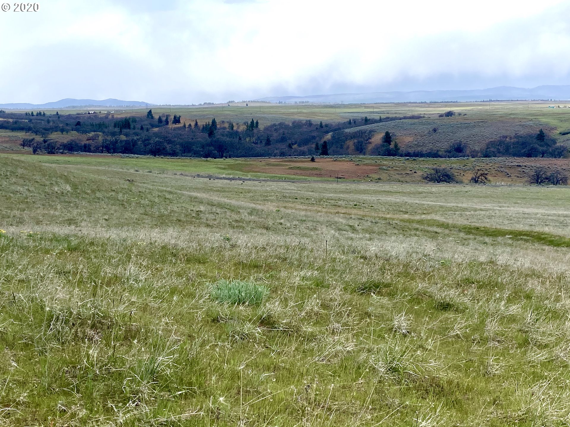 151 Oak Flat Road Goldendale, WA 98620 - Photo 11 of 24 Gallery Image 11