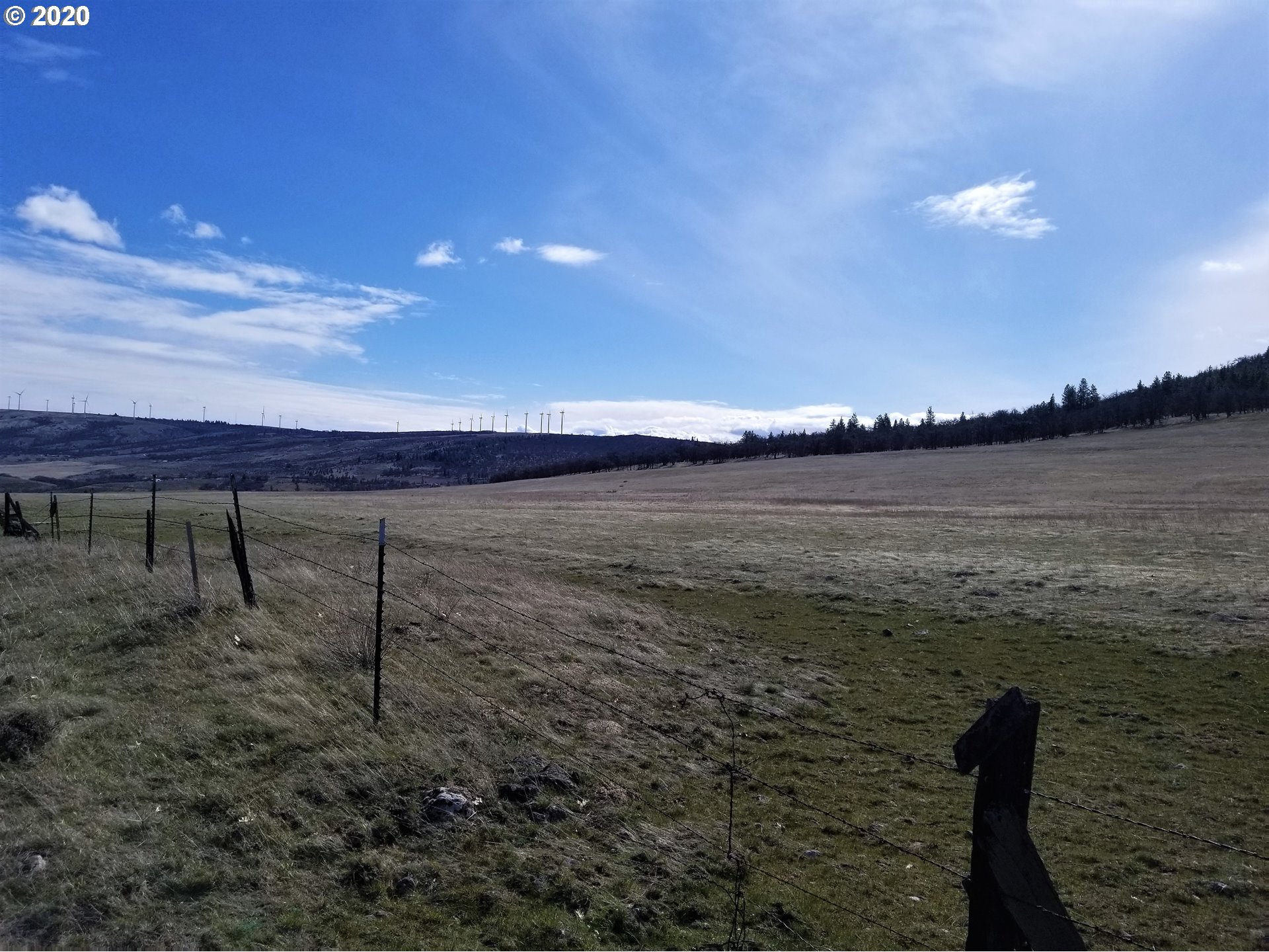151 Oak Flat Road Goldendale, WA 98620 - Photo 13 of 24 Gallery Image 13