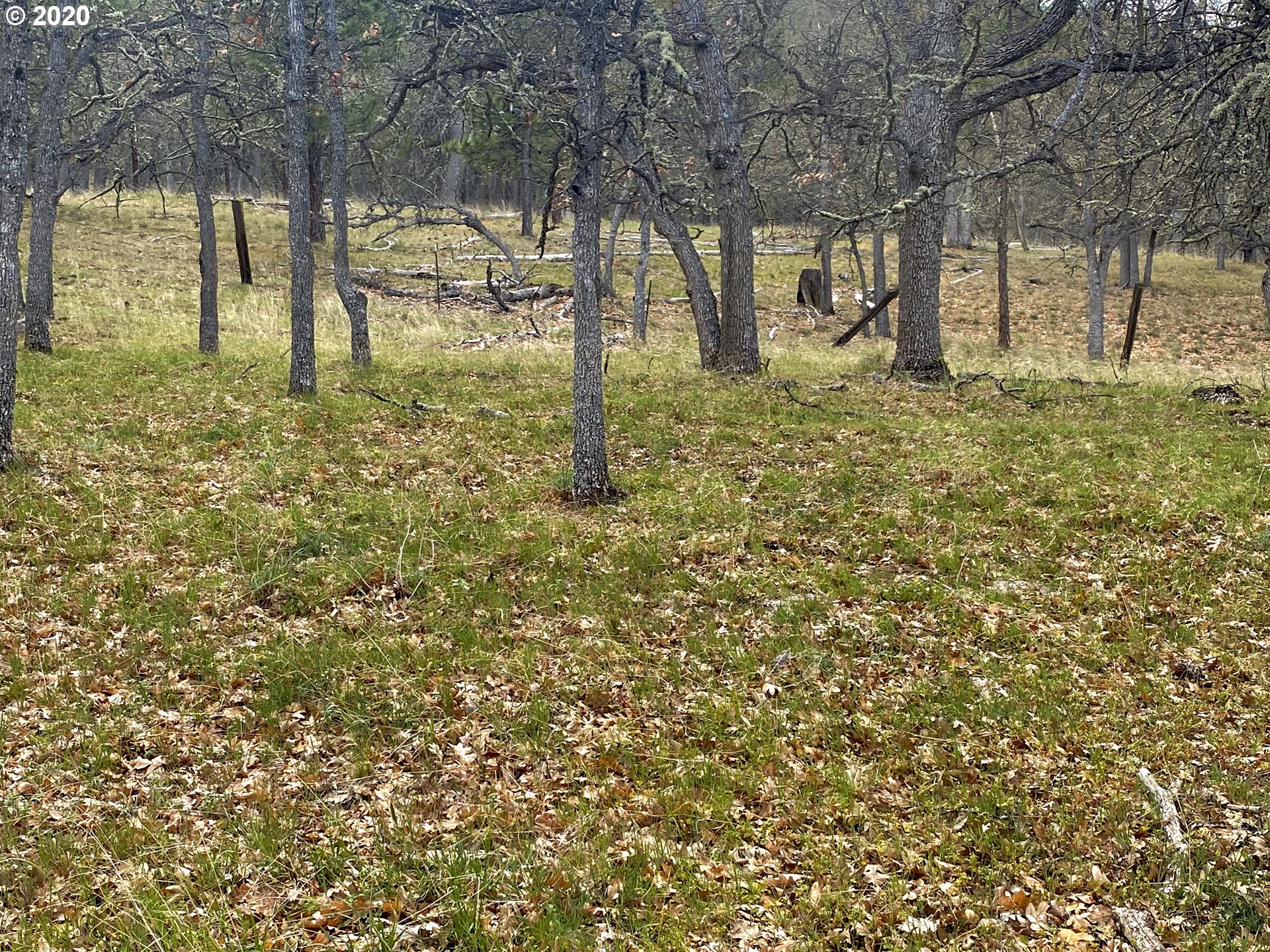 151 Oak Flat Road Goldendale, WA 98620 - Photo 22 of 24 Gallery Image 22
