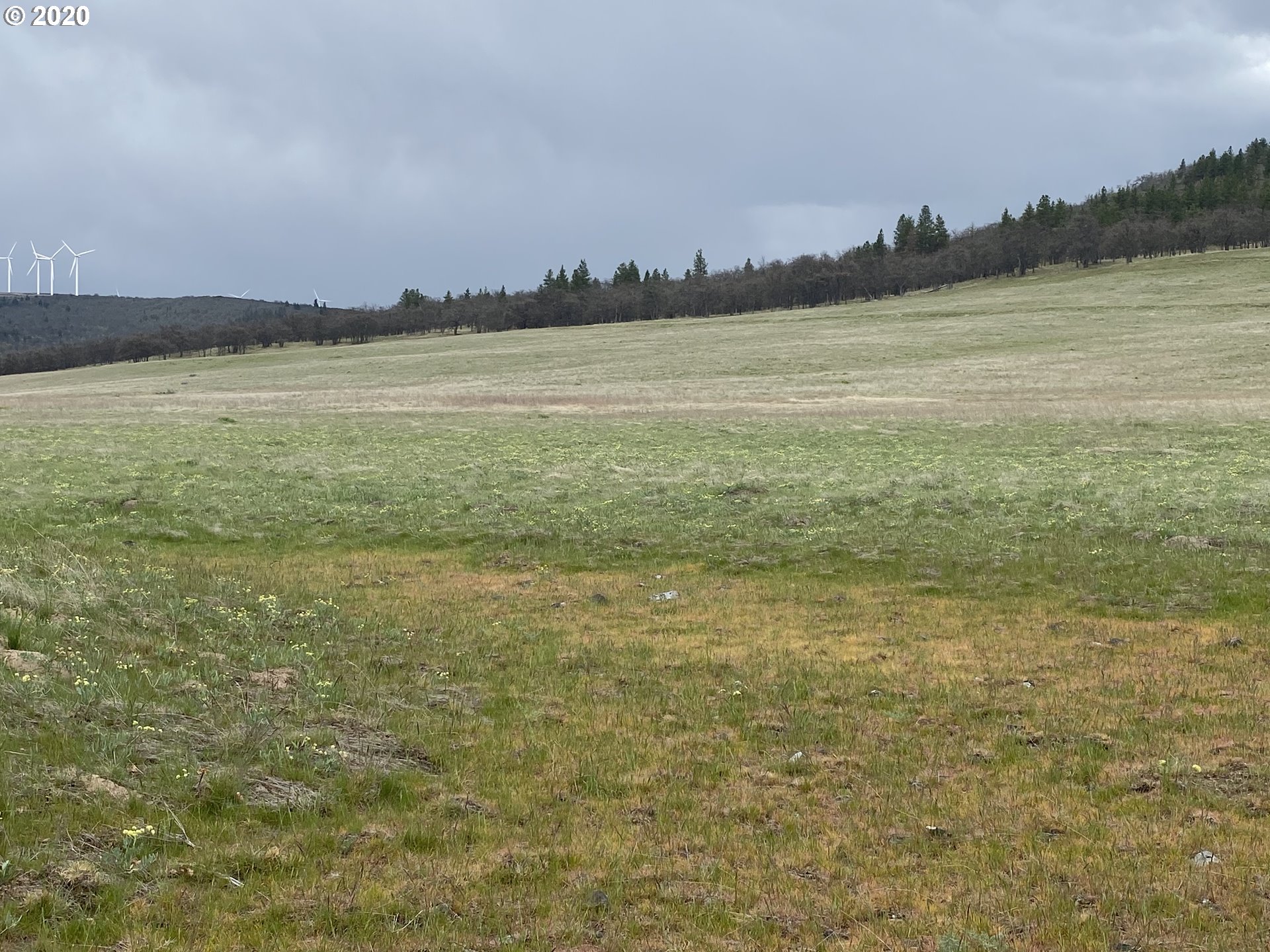151 Oak Flat Road Goldendale, WA 98620 - Photo 10 of 24 Gallery Image 10
