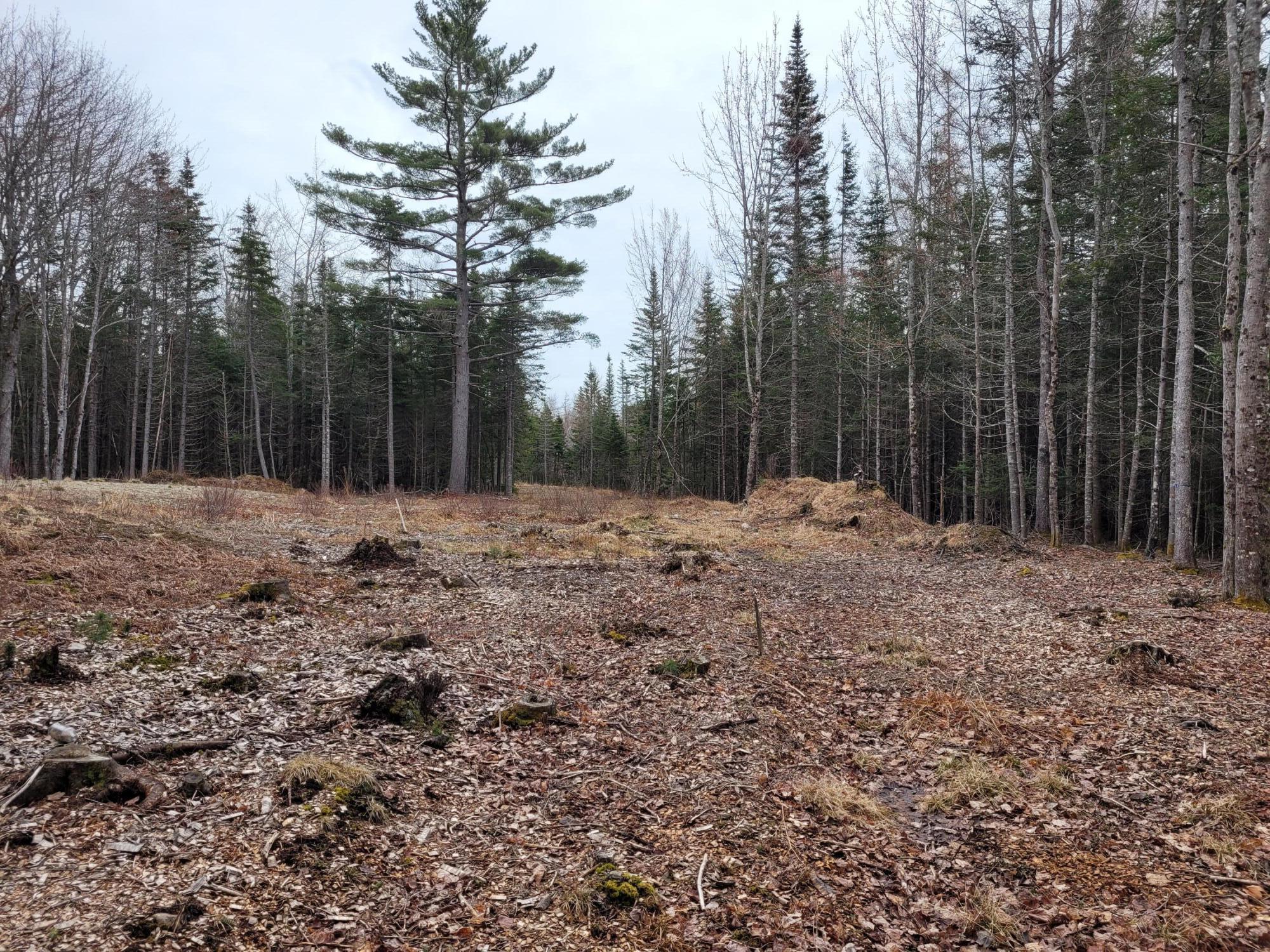 0 Kelley Road Milbridge, ME 04658 - Photo 25 of 28 20230419_105349 - Copy