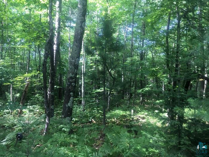 74295 Boulevard Road Brule, WI 54820 - Photo 1 of 5