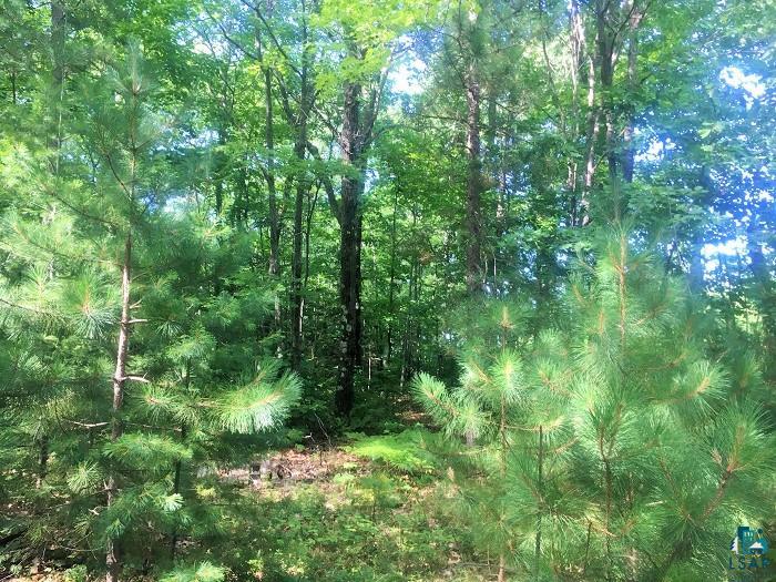 74295 Boulevard Road Brule, WI 54820 - Photo 2 of 5