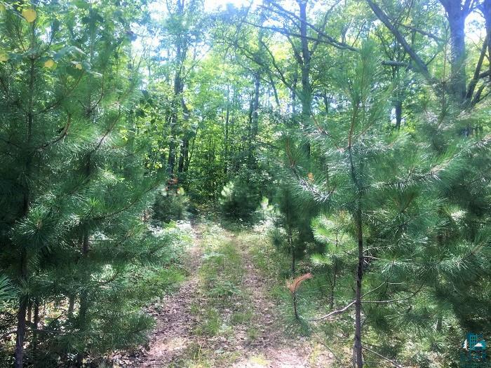 74295 Boulevard Road Brule, WI 54820 - Photo 3 of 5