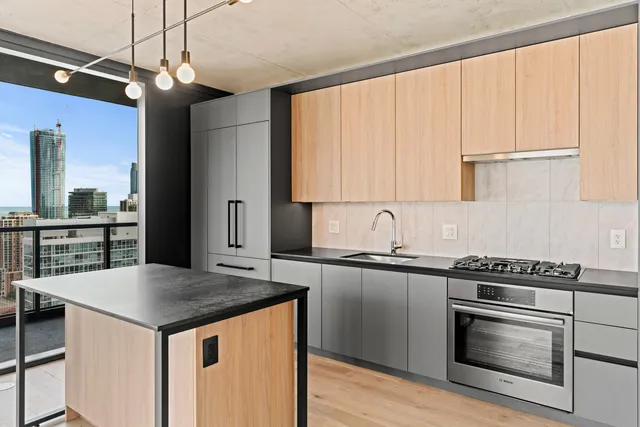 $1,250,000 | 234 West Polk Street, Unit 3708, Chicago, IL 60605