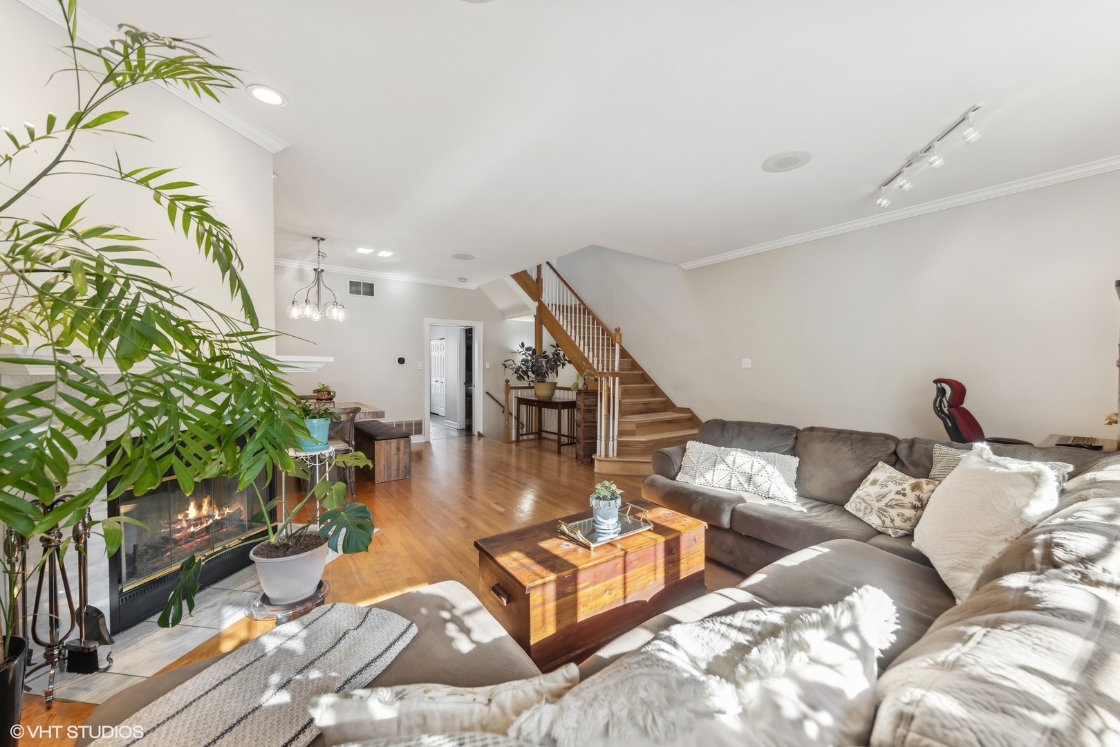731 South Racine Avenue, Unit B Chicago, IL 60607 - Photo 15 of 29 a living room with furniture and a potted plant