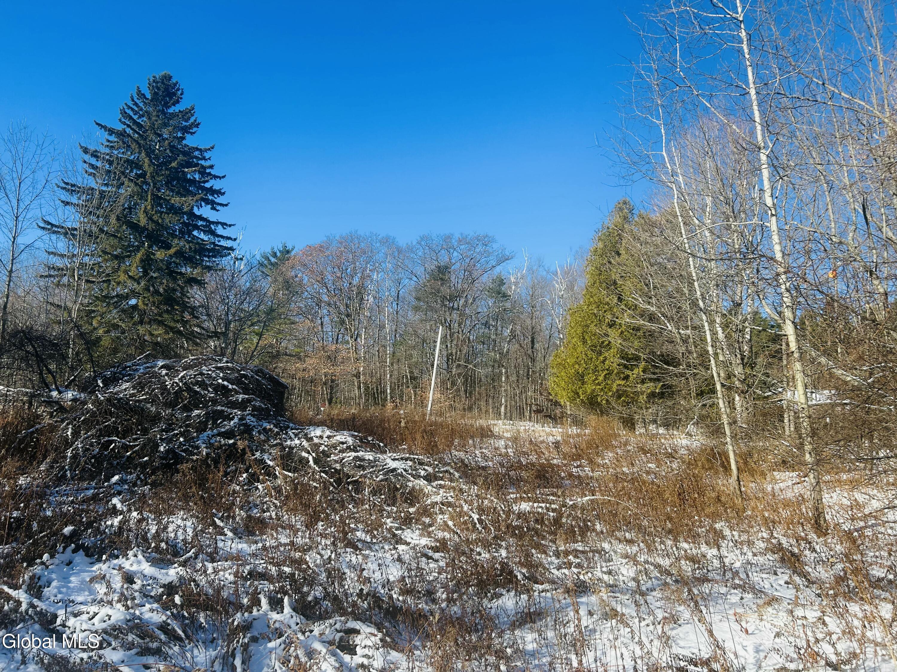 16D17A04-C7BC-431B-A64E-3FEFF9B77B82