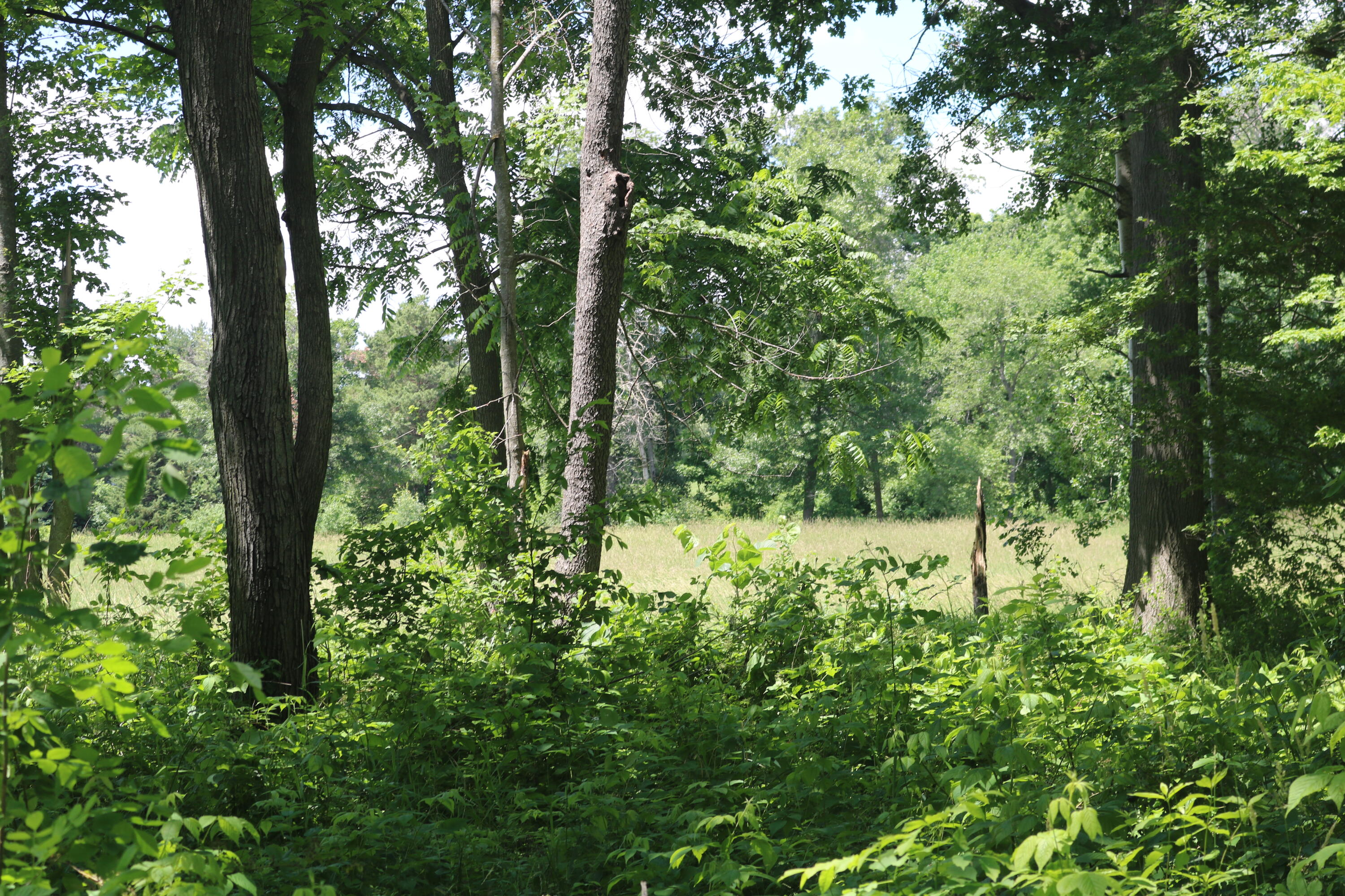 5 5 Mile Road Watertown, WI 53098 - Photo 5 of 17 IMG_1569