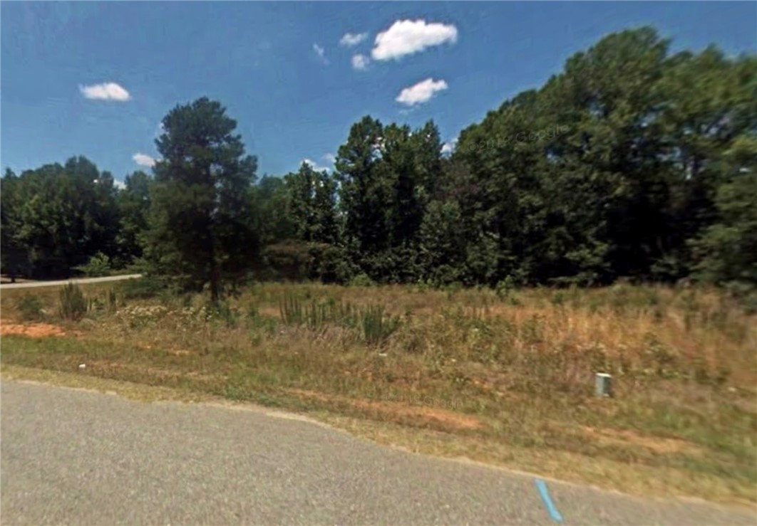 0 Pierce Road, Unit LOT 164 Williamston, SC 29697 - Photo 1 of 5