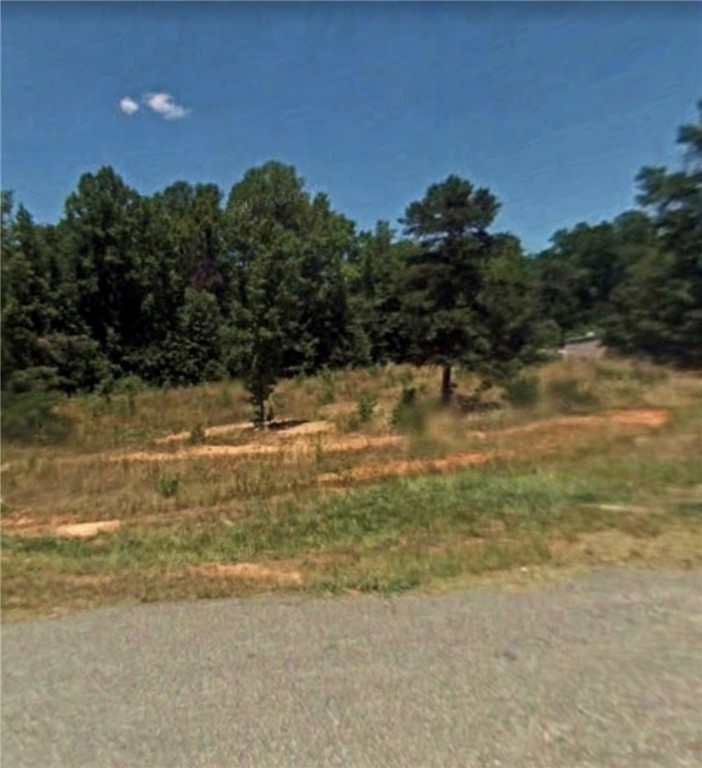 0 Pierce Road, Unit LOT 164 Williamston, SC 29697 - Photo 2 of 5