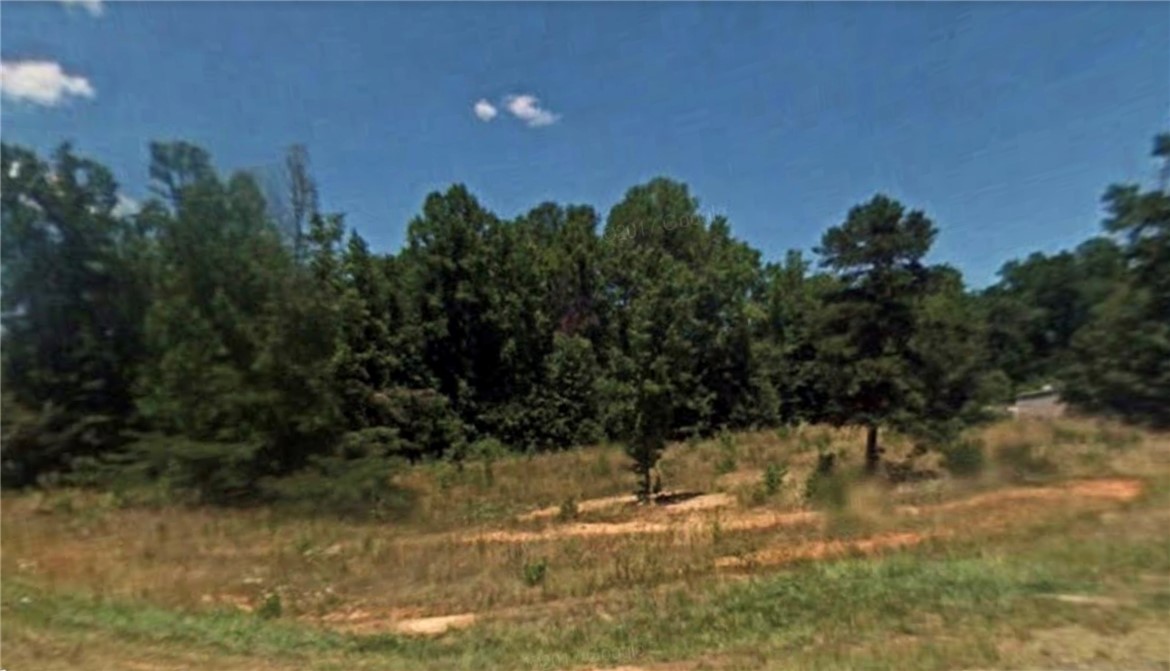 0 Pierce Road, Unit LOT 164 Williamston, SC 29697 - Photo 5 of 5